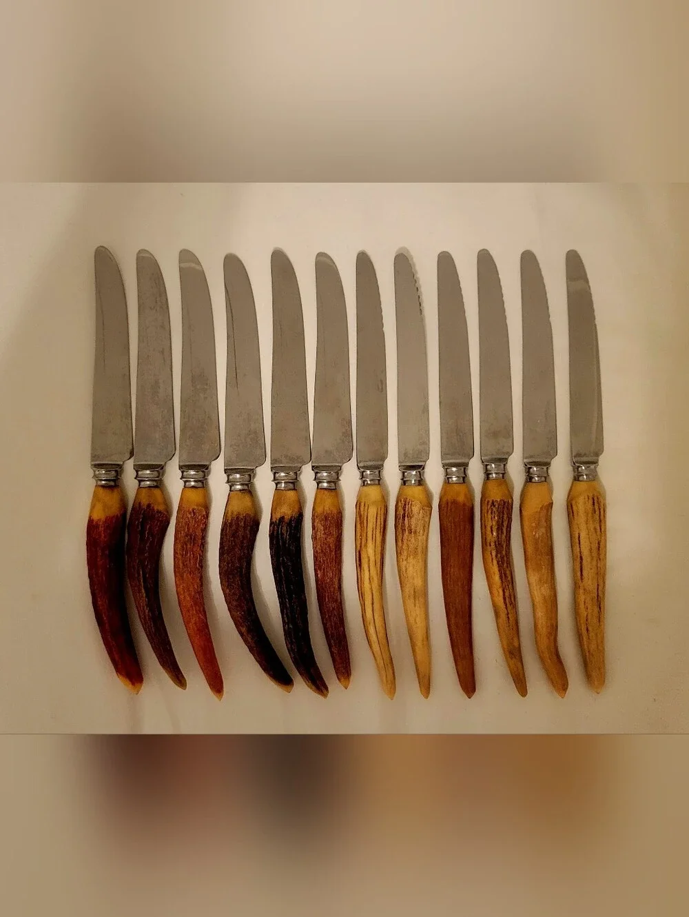 Twelve Sheffield Knives, Antler/Stag Handles, Stainless Steel, 9in. Length